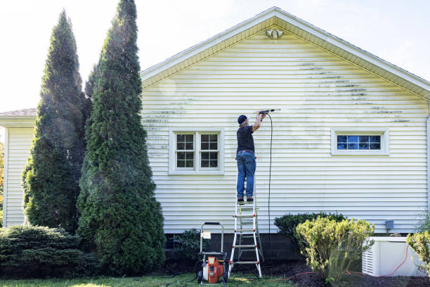 Best Pressure Washing Brick  in Elmira, NY