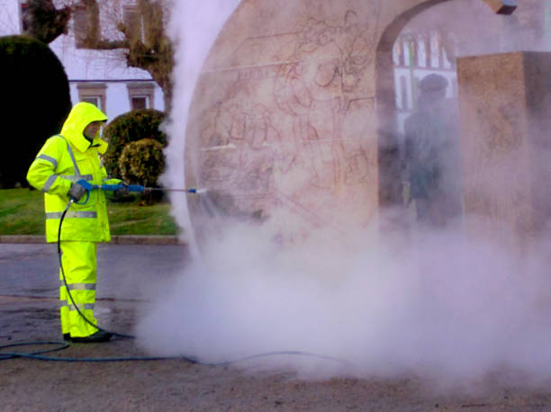 Best Pressure Washing Company Near Me  in Elmira, NY